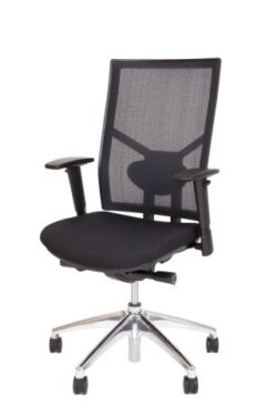 ds-787gs-net-lordose_chromgestell-chair__2_