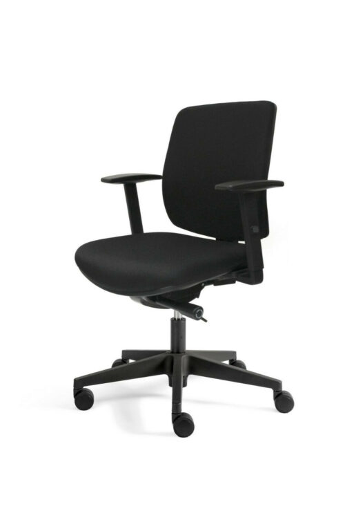 ds-a300-2-chair