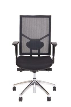 ds-787gs-net-lordose_chromgestell-chair__1_