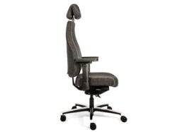 ds-therapod-x-hr-sitmove__3_