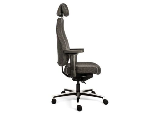 ds-therapod-x-hr-sitmove__3_